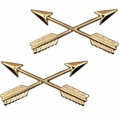 Deals ✨ Sta-Brite Army Special Forces Insignia 🤩