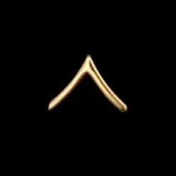 Discount ❤️ Other Brands Army Rank PV2 Non-Subdued Pin-On ✨