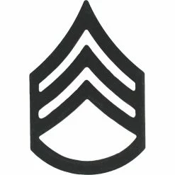 Cheap 🧨 Other Brands Army Rank SSG Subdued Pin-On, 2 Pc. 👏