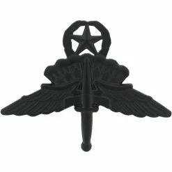 Promo 😍 Ira Green, Inc Army Master Halo Wings Badge Sta-Black Pin-On 🌟
