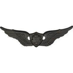 Flash Sale 🔥 Sta-Brite Army Basic Aircrew Badge, Black 🎁