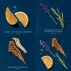 Outlet 🛒 Other Brands Army Unit Patch Kansas State National Guard (OCP) ⌛ -Deals Miliay Store unnamed file 246