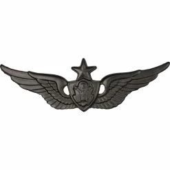 Best reviews of 😀 Sta-Brite Army Senior Aircrew Badge, Black ✨