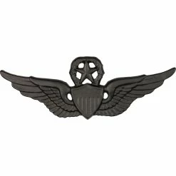 Best deal ⭐ Sta-Brite Army Master Aviation Badge, Black 🥰