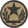 New 👏 Other Brands Army Unit Patch Texas State National Guard (OCP) 🥰