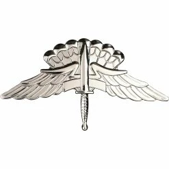Discount ✨ Sta-Brite Army Basic Halo Wing Badge, Full Size 💯