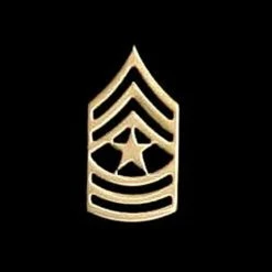 Wholesale ✔️ Other Brands Army SGM Non-Subdued Pin-On Rank 👍