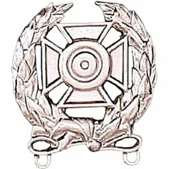 Best Sale 🎁 Other Brands Army Badge, Regular Mirror Finish, Expert Shooting 🎉