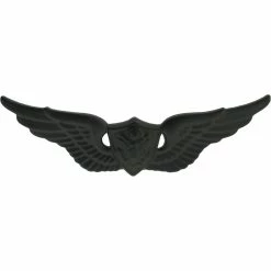 Deals 🔥 Ira Green, Inc Army Basic Aircrew Badge Sta-Black Pin-On 🥰