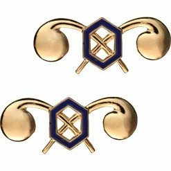 Promo 👍 Sta-Brite Army Chemical Insignia 🧨